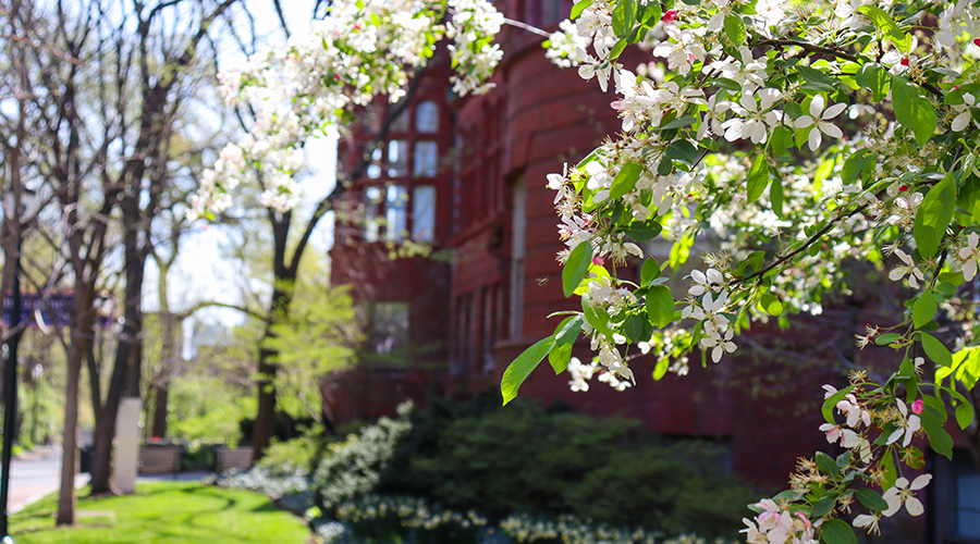 Upenn Spring 2024 Calendar Didi Petunia