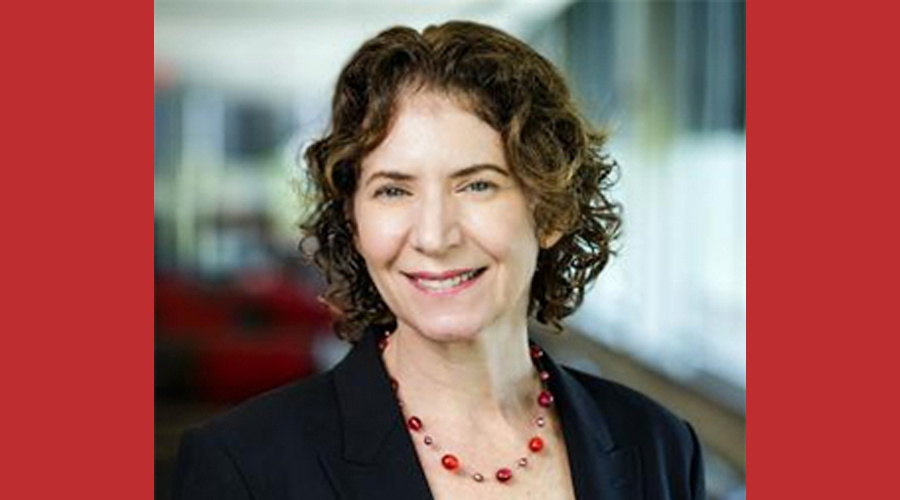 Photo of Rebecca Stein, PhD.