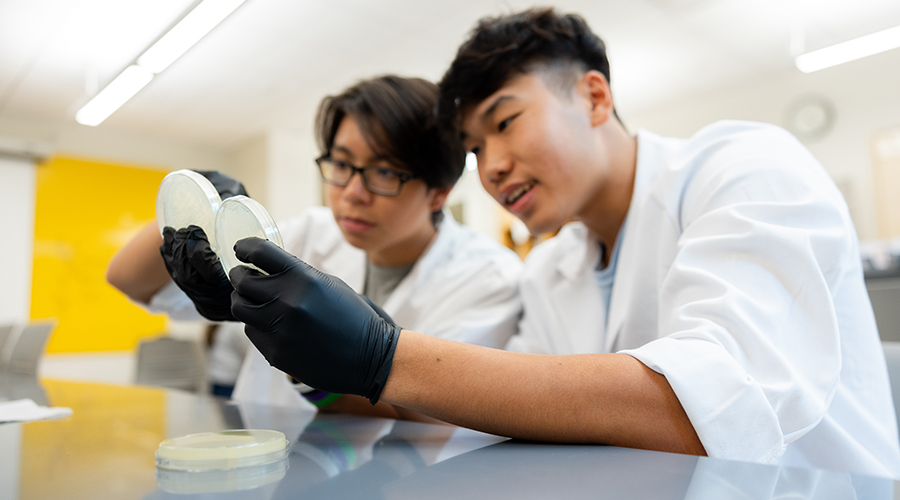 Featured: High School Summer Academies